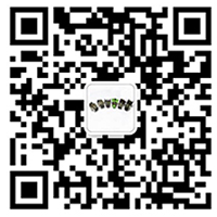 Wechat | WhatsAPP